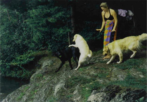 Horndog