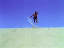 Fraser Island
Leap